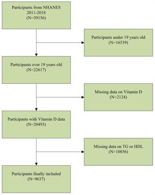 Relationship between serum vitamin D levels and the atherogenic index of plasma: a study based on NHANES database 2011–2018